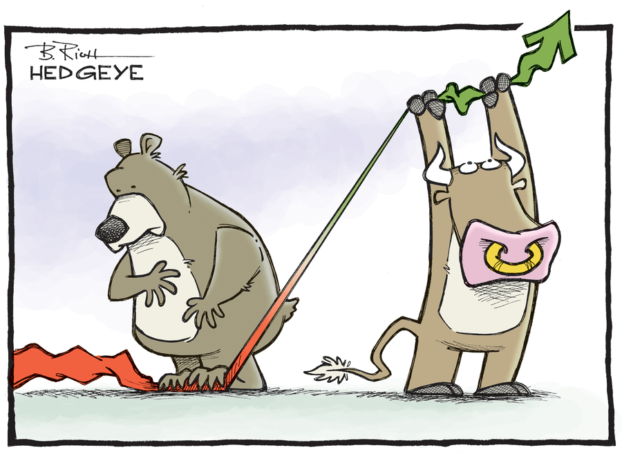 Bull vs bear